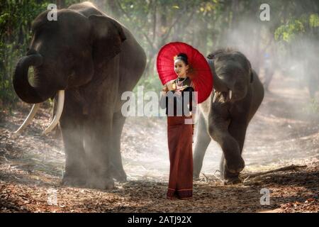 Thaïlande éléphants et femme portant des vêtements de soie culture portrait concept Banque D'Images