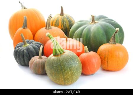 Collection de citrouilles et de cendres d'hiver Banque D'Images