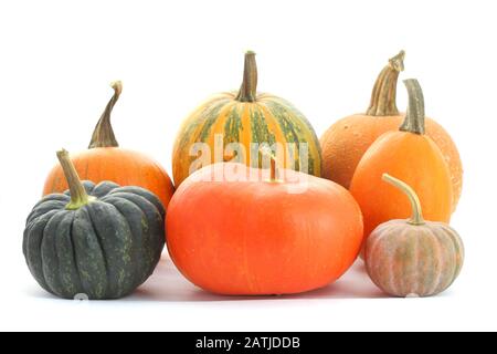 Collection de citrouilles et de cendres d'hiver Banque D'Images