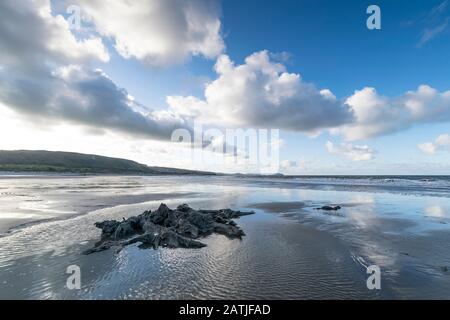 La concrétion partielle ou partiellement pétrifiée de l'arbre ancien demeure sur la plage Abergele Pensarn au nord du Pays de Galles Banque D'Images