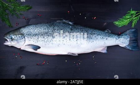 gros poisson de saumon frais sur une table en bois noir foncé, vue sur le dessus Banque D'Images