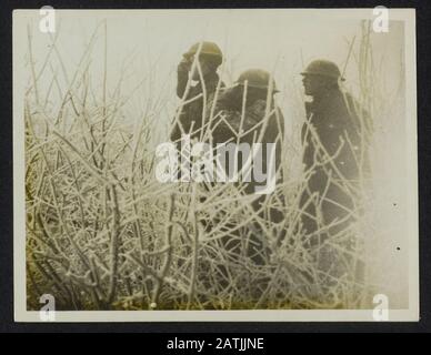 The British Western Front en France Description: Sur le front Cambrai. Les officiers britanniques observant parmi les arbustes revêtus de devant Annotation: British Western Front en France. Les officiers britanniques observent au milieu d'arbustes de camouflage Date : {1914-1918} lieu : Cambrai, France mots clés : camouflage, fronts de la guerre mondiale, officiers Banque D'Images