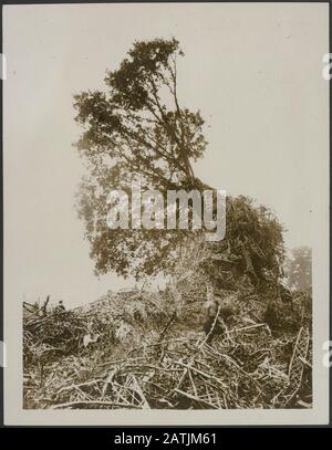 Zeppelin Fait descendre dans Potters Bar Description: Recherche de corps Annotation: Zeppelin fait descendre à Potters Bar. Les travailleurs de secours recherchent des corps de victimes Date: {1914-1918} lieu: Royaume-Uni, Potters Bar mots clés: Victimes de la première Guerre mondiale, villes, débris, blimps Banque D'Images