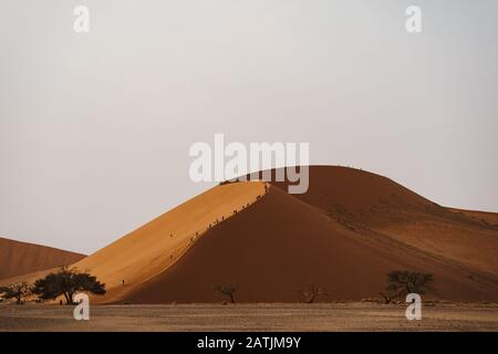 Les touristes grimpent dans le désert Dune N°45 Namibie, Afrique Banque D'Images