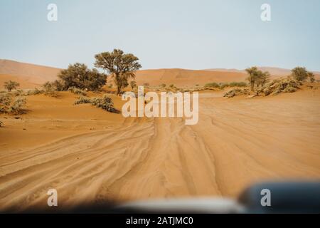 Piste de pneus de voiture profonde sur le sable du désert Banque D'Images