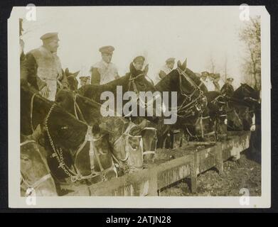 Avec les Canadiens sur le front ouest Description: Les chevaux d'artillerie canadiens sont arrosés au front Annotation: Les Canadiens dans la grande bataille. Les chevaux d'artillerie canadiens se rendre à l'eau avant pour boire Date : {1914-1918} mots clés : eau potable, première guerre mondiale, fronts, chevaux, soldats Banque D'Images