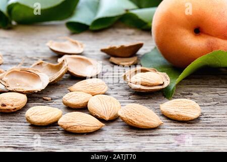 Abricots près de fosses et de fosses d'abricots sur le fond de vieux planches. Abricots pour la fabrication de comprimés et de médicaments. Gros plan. Banque D'Images