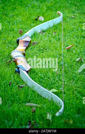 Les sports s'arbrissent dans l'herbe verte à l'automne avec une poignée marron et des feuilles sur la pelouse Banque D'Images