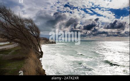 Mer Noire. Côte rocheuse à l'automne, dans une tempête. Des vagues s'écrasent sur la plage de galets. Sur la roche, un arbre enroué sans feuilles. Gelendzhik. Banque D'Images