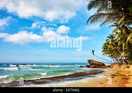 Plage tropicale de l'été, vacances, Sri Lanka. Banque D'Images