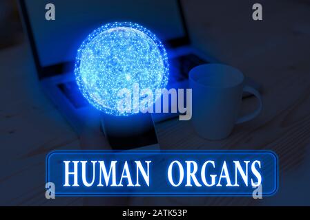 Signe de texte montrant Les Organes HuAnalysis. Photo d'affaires texte Les structures génitales internes du corps de l'analyse huanalyse éléments de cette image fournie par NA Banque D'Images