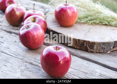 Des pommes rouges mûres juteuses se trouvent sur une table en bois. Vitamines et un régime sain. Concept végétarien. Gros plan. Banque D'Images