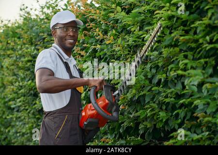 Un gars afro-américain gai dans l'ensemble marron, chapeau d'été et lunettes qui garde la taille de la haie de patrouille et va élaguer les buissons verts. Jardinier masculin prenant soin des plantes Banque D'Images