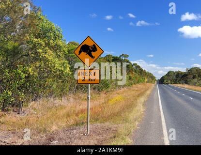 Avertissement De Koala Bear Sur Bruce Highway Queensland Australie Banque D'Images