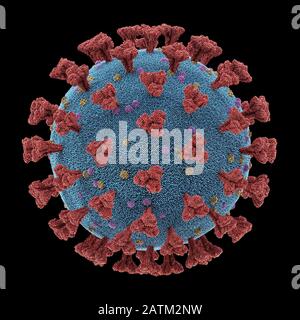 Coronavirus, groupe de virus qui causent des maladies chez les mammifères et les oiseaux. Chez l'homme, le virus cause des infections respiratoires. Illustration tridimensionnelle, conceptua Banque D'Images