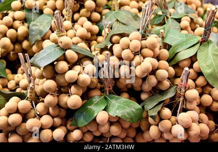 Fruits de Longan thaïlandais, petits pains de fruits de Longan thaïlandais tropicaux frais récoltés dans un marché agricole à Bangkok, en Thaïlande Banque D'Images