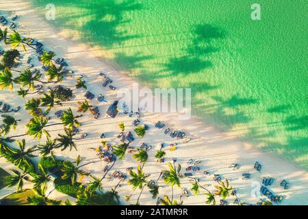 Vue aérienne sur la plage tropicale avec palmiers Banque D'Images