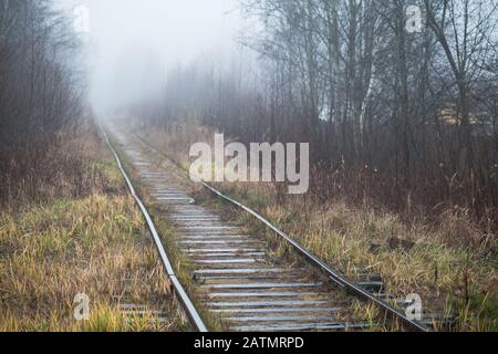 Le chemin de fer abandonné vide traverse une forêt brumeuse le matin, fond photo Banque D'Images