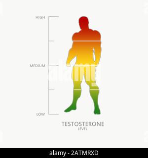 Echelle de mesure du niveau de testostérone hormonale. Illustration du concept de soins de santé. Silhouette de l'homme musclé. De l'échelle rouge à l'échelle verte. Illustration de Vecteur