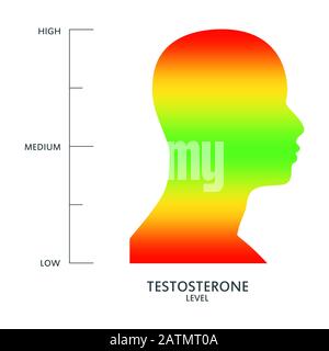 Echelle de mesure du niveau de testostérone hormonale. Illustration du concept de soins de santé. Silhouette de la tête de l'homme. De l'échelle rouge à l'échelle verte. Illustration de Vecteur