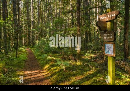 Panneaux de signalisation, carte, à Maude aka Maud Island Trail, Quadra Island, Colombie-Britannique, Canada Banque D'Images