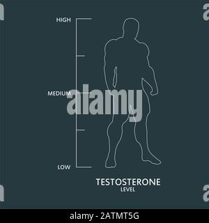 Echelle de mesure du niveau de testostérone hormonale. Illustration du concept de soins de santé. Silhouette de l'homme musclé. Échelle abstraite. Illustration de Vecteur