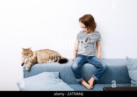 Petite fille d'âge préscolaire enfant assis sur un canapé avec chat contre fond de mur blanc, regardant sur animal de compagnie, plein corps vue avant Banque D'Images