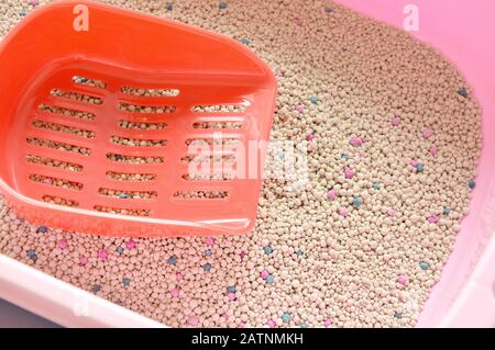 litière cat dans une boîte rose et pelle en plastique rouge sur un sol en tuiles Banque D'Images