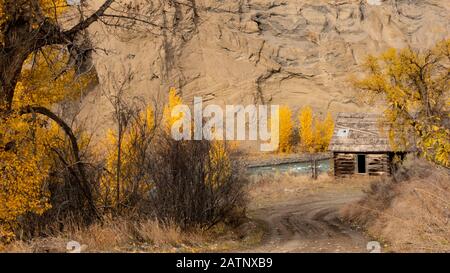 Une route menant à un bâtiment rustique de l'ancienne ferme de Potwell, qui est surmontée par le feuillage coloré et la rivière Chilcotin. (Farwell Canyon, Colombie-Britannique) Banque D'Images