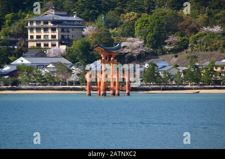 Le matin, la marée monte et la torii est immergée dans la mer Banque D'Images