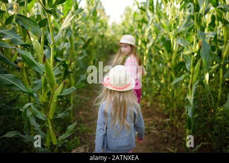 Deux jeunes filles adorables s'amuser dans un champ de labyrinthe de maïs pendant la saison d'automne. Jeux et divertissements pendant la récolte. Loisirs en famille actifs avec enfant Banque D'Images