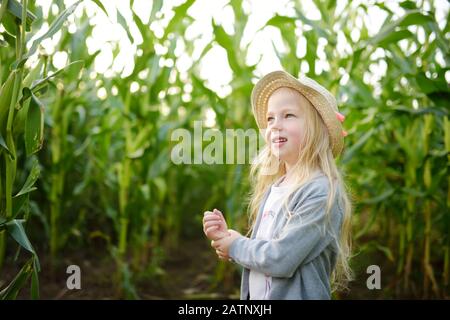 Jolie jeune fille s'amuser dans un champ de labyrinthe de maïs pendant la saison d'automne. Jeux et divertissements pendant la récolte. Loisirs en famille actifs avec les enfants. Banque D'Images