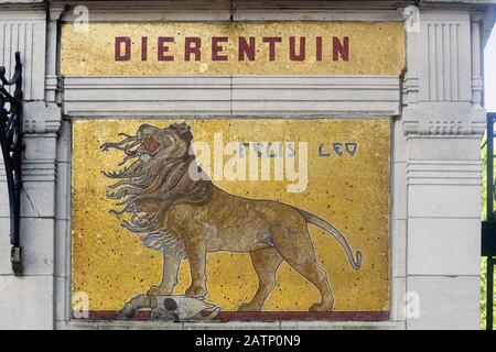 Mosaïque d'un lion sur un pilier de l'entrée du zoo d'Anvers, Belgique Banque D'Images