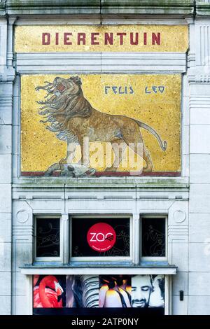 Mosaïque d'un lion sur un pilier de l'entrée du zoo d'Anvers, Belgique Banque D'Images