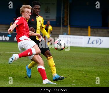 St ALBANS, ANGLETERRE - FÉVRIER 03: George Lapslie de Charlton Athletic Sous 23 pendant la Ligue de développement professionnel entre Watford Sous 23 ans et Banque D'Images