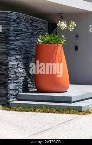 Semoir contemporain géant contenant de l'Agapanthus à la porte de la maison au Cap, en Afrique du Sud Banque D'Images