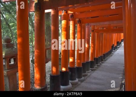 Vue Sur Le Grand Sanctuaire De Fushimi Inari Banque D'Images