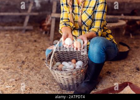 Fier éleveur de poulet montrant les œufs produits par ses poules Banque D'Images