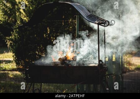 Le bois de chauffage brûle dans un barbecue en métal forgé Banque D'Images