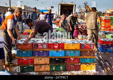 Les pêcheurs déchargeant la prise de la journée au port d'Essaouira, au Maroc Banque D'Images