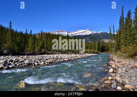 Magnifique rivière bleue Siffleur avec de hautes montagnes couvertes de neige en arrière-plan. Journée ensoleillée, ciel bleu, Réserve écologique des plaines Kootenay. Canada Banque D'Images