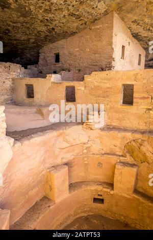 Vue rapprochée de la construction de logements Spruce Tree House dans le parc Mesa Verde Nation Park, Colorado, États-Unis Banque D'Images