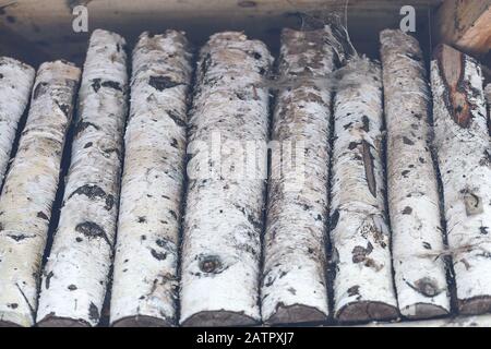 Pile de billes de bouleau fond en bois, gros plan Banque D'Images