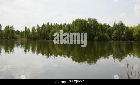 Vue sur le magnifique lac au milieu du champ. Banque D'Images