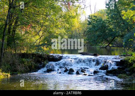 une chute d'eau du ruisseau à proximité profonde dans la forêt Banque D'Images