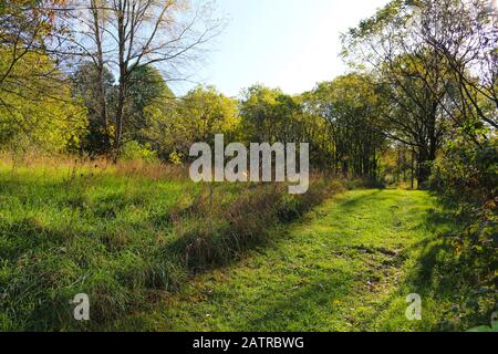 un sentier de glade forêt au lever du soleil le matin Banque D'Images
