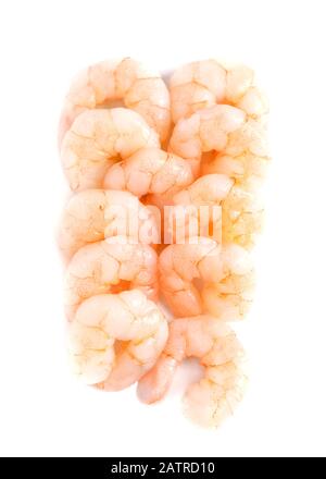 crevettes king cuites sur un gros-dos blanc au-dessus de la tête Banque D'Images