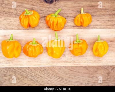 Bouquet de piment orange Habanero sur fond de bois Banque D'Images