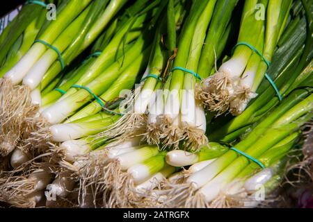 oignons verts dans un marché Banque D'Images