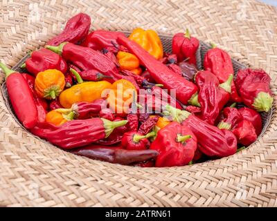 Mélange coloré de piments dans un grand chapeau de soleil Banque D'Images